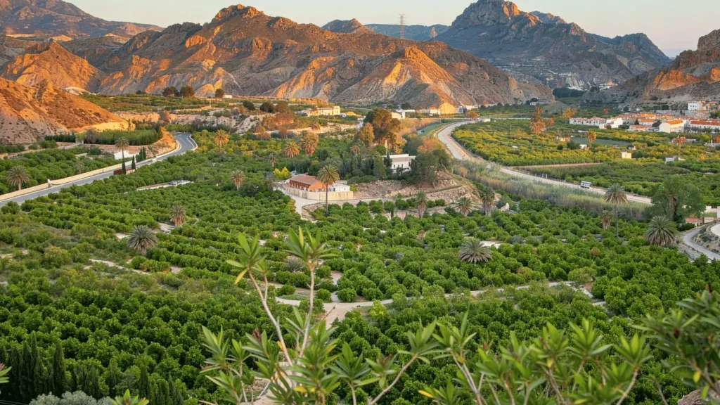 Panorámica del Valle de Ricote en Archena