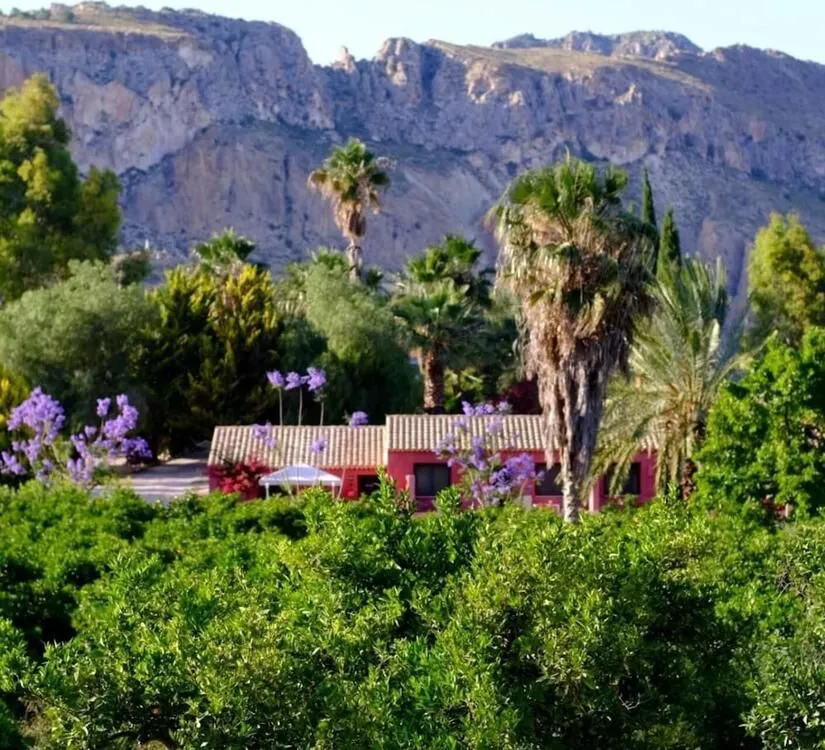 Dónde comer en el Valle de Ricote y 6 platos típicos que debes probar